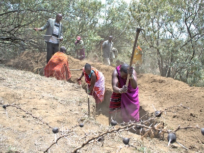 Gulley preparation in Narok